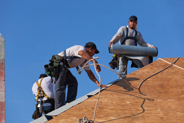 Professional Roofing Contractor in Bluff City, TN