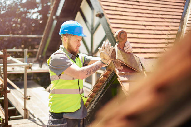 Gutter Installation and Roofing in Bluff City, TN