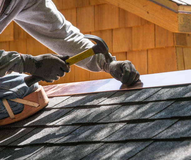 Best Roof Gutter Cleaning  in Bluff City, TN